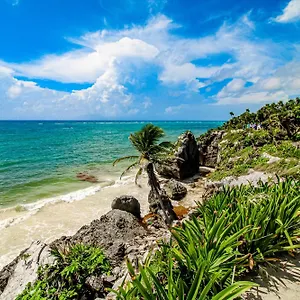 The Hibiscus House Feriehus Tulum